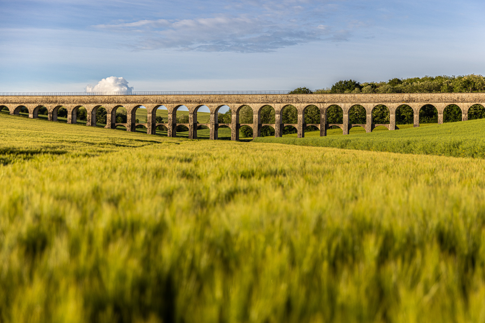 Aqueduc de la Vanne - Arcades de Cuy